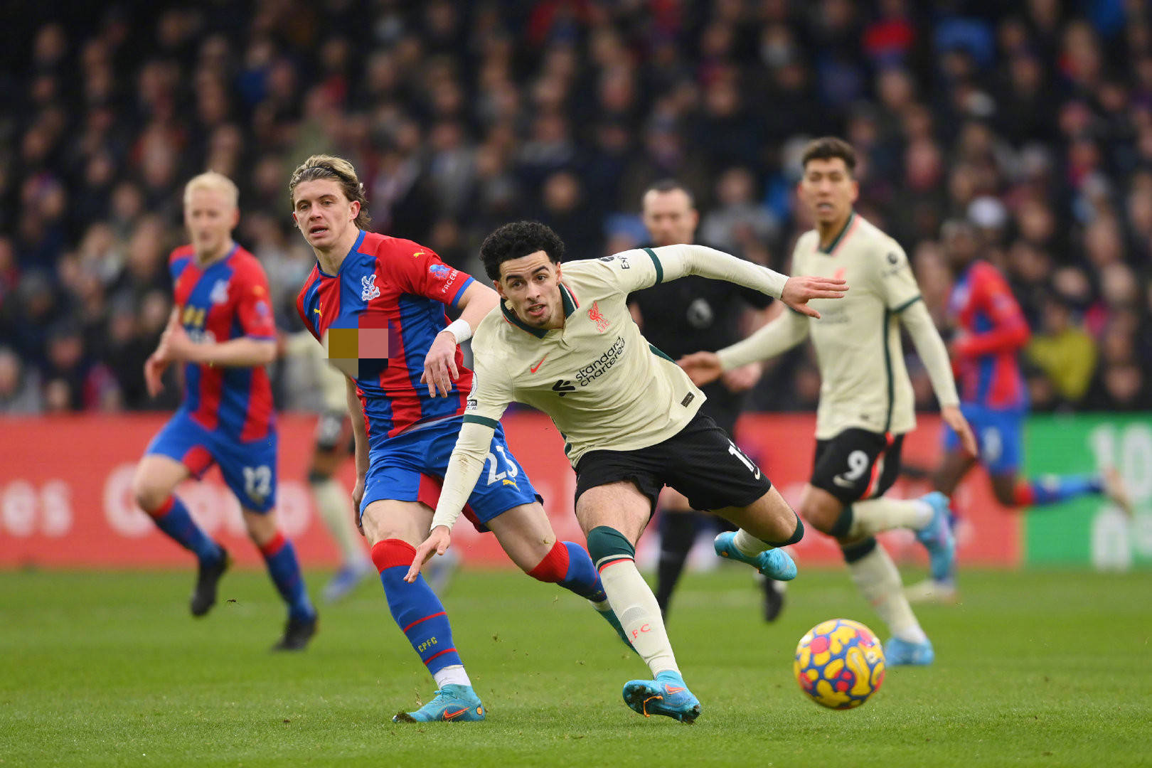 这短短的一 这短短的一